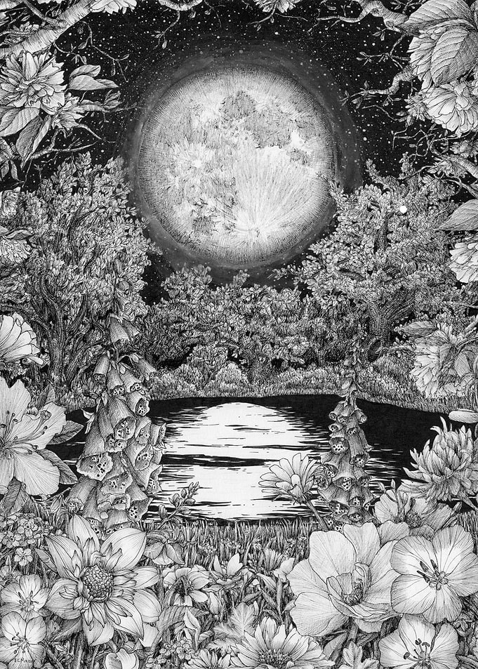 Moon Garden Reflections