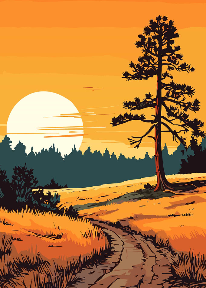 Sunset
