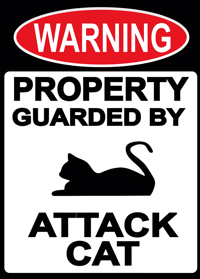 Cat Sign