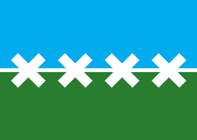 Cedar Park Texas Flag