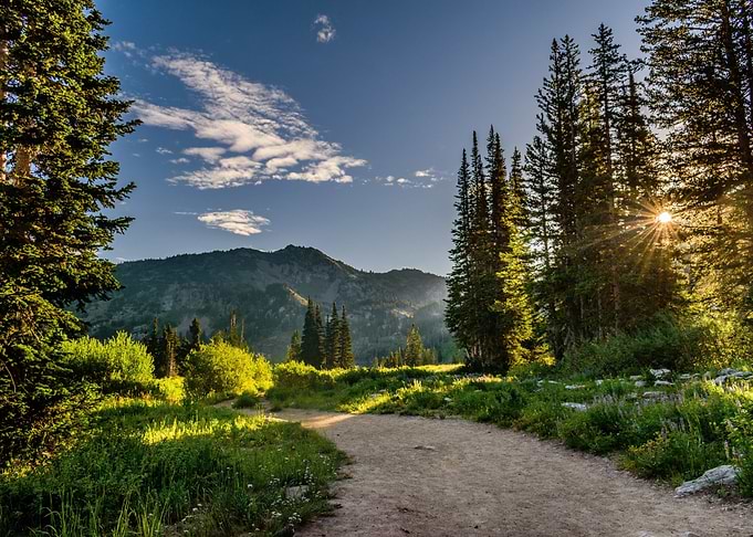 Nature photography