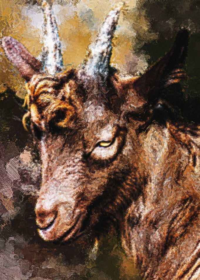 Animal Painting Of A Goat