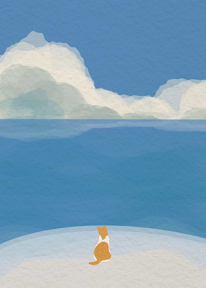 Cat at the blue beach