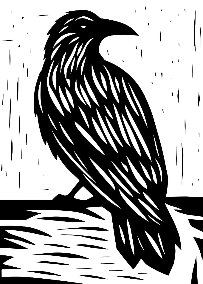 Minimalistic Crow