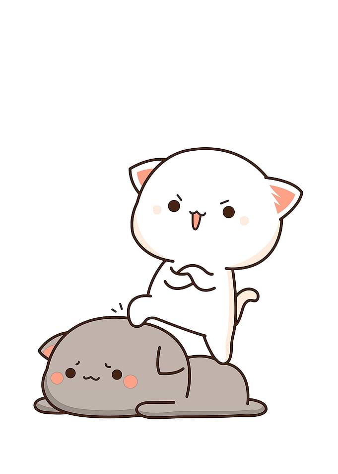bear cute animal