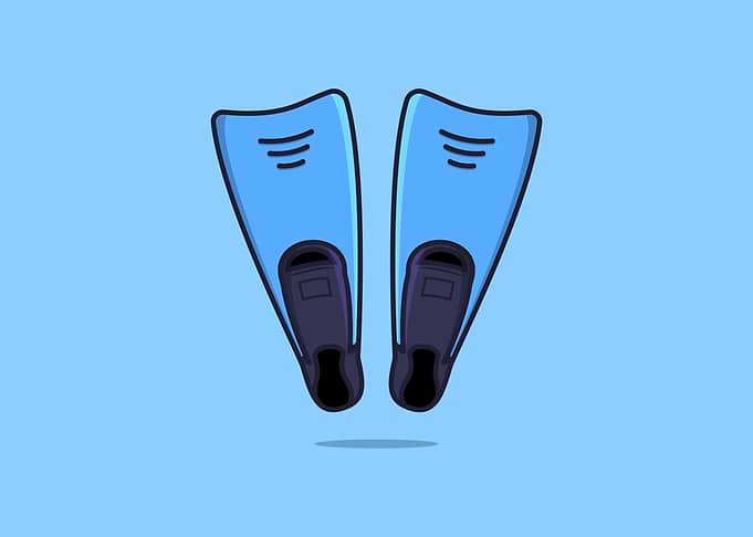 Diving Flippers vector