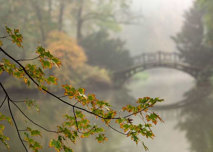 Autumn impression