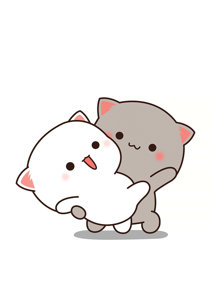bear cute animal