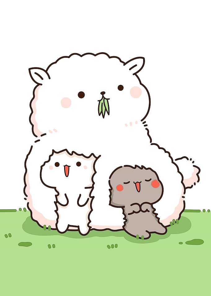 bear cute animal
