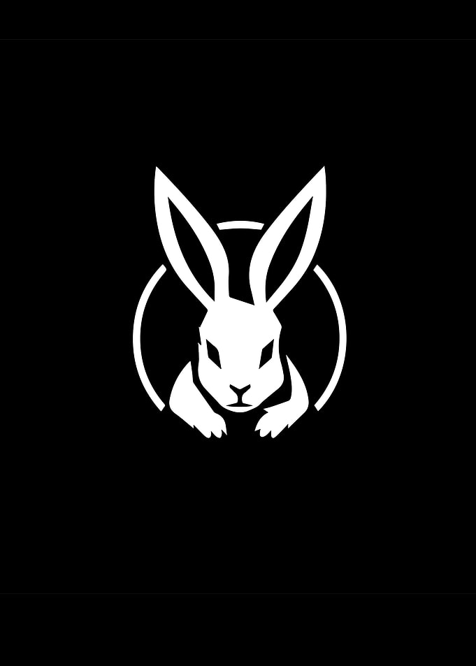 Rabbit Stencil Design