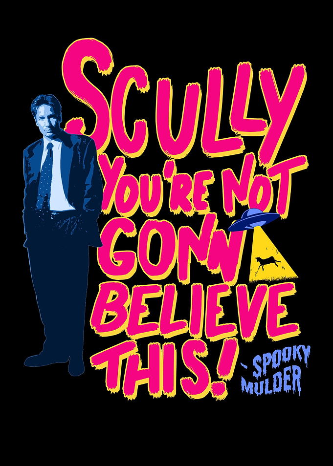 the x files mulder scully
