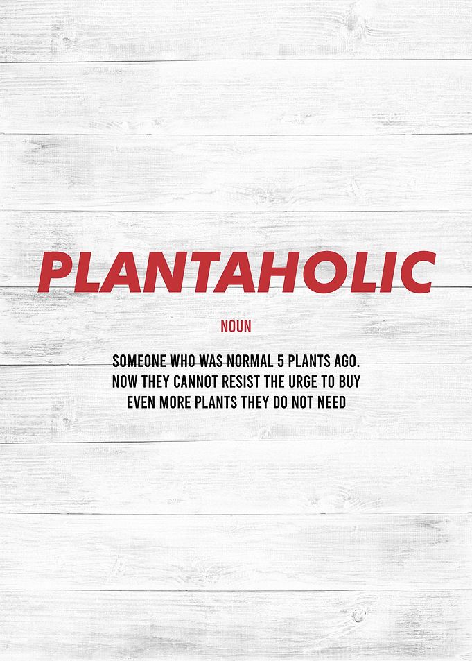 plantaholic definition
