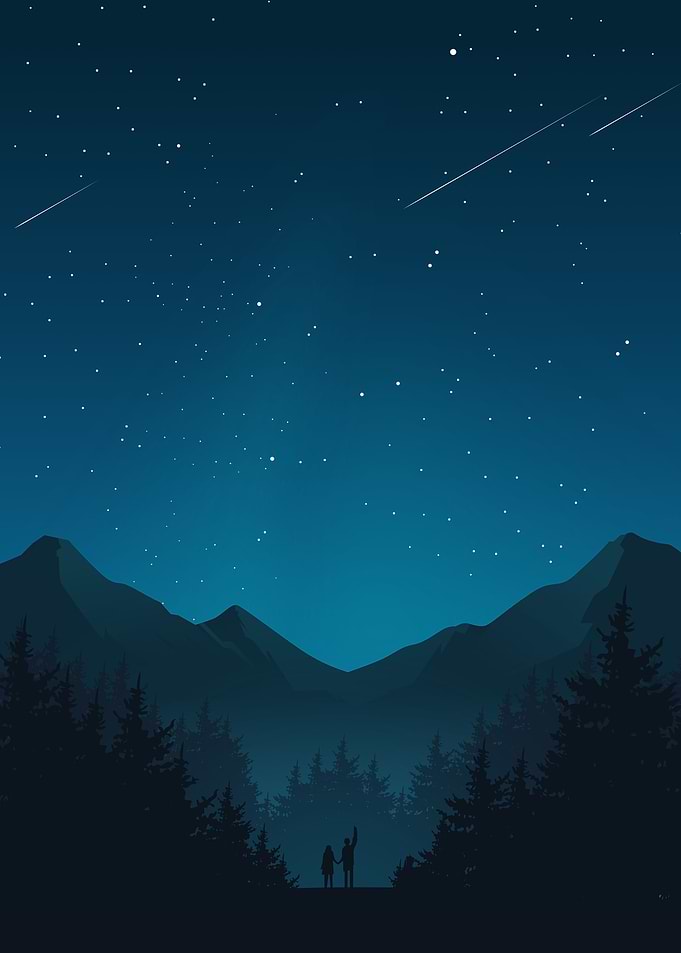 Starry forest with you