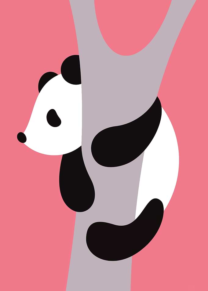 cute panda