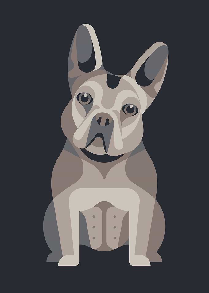 Bulldog cute