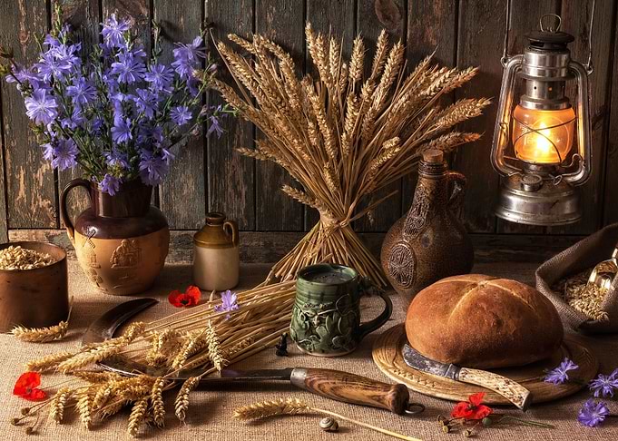 Still Life