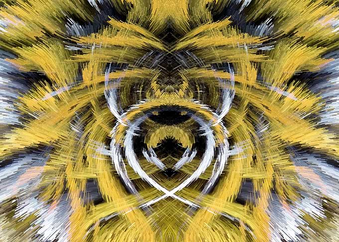 Abstract Baby Fractal Art