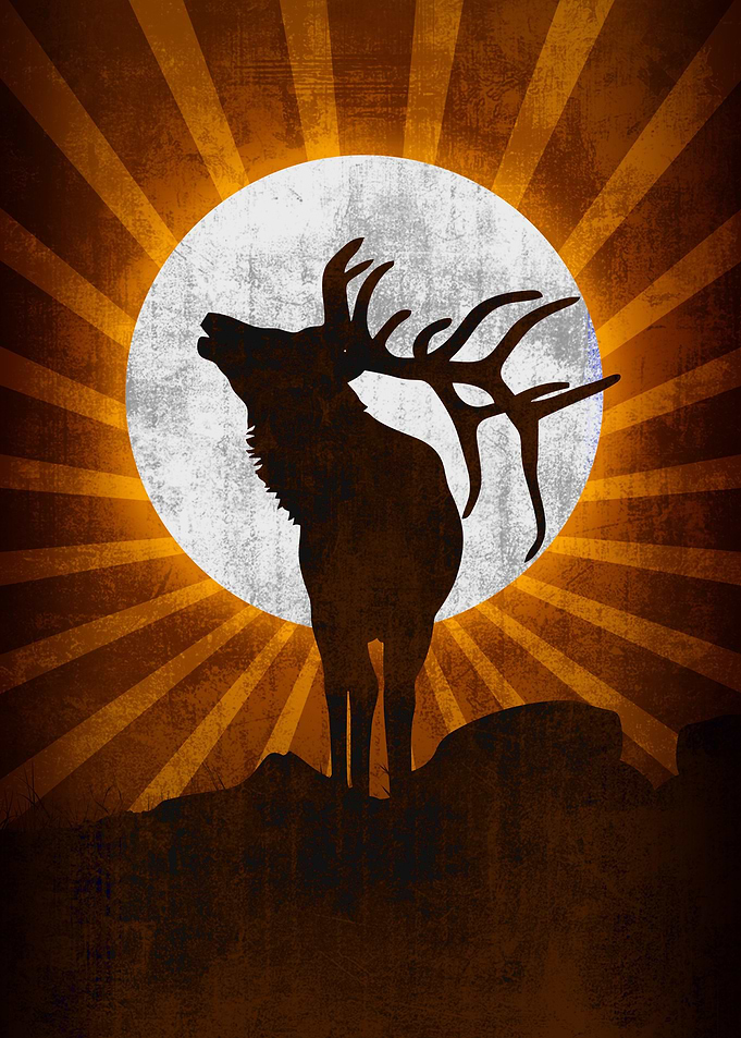 Deer V2