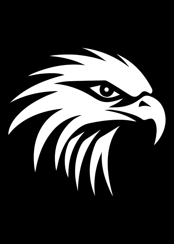 Eagle Stencil Design
