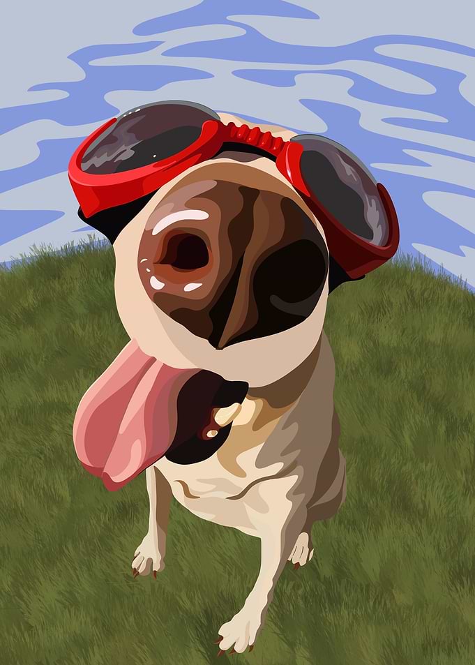Careless Pilot Dog
