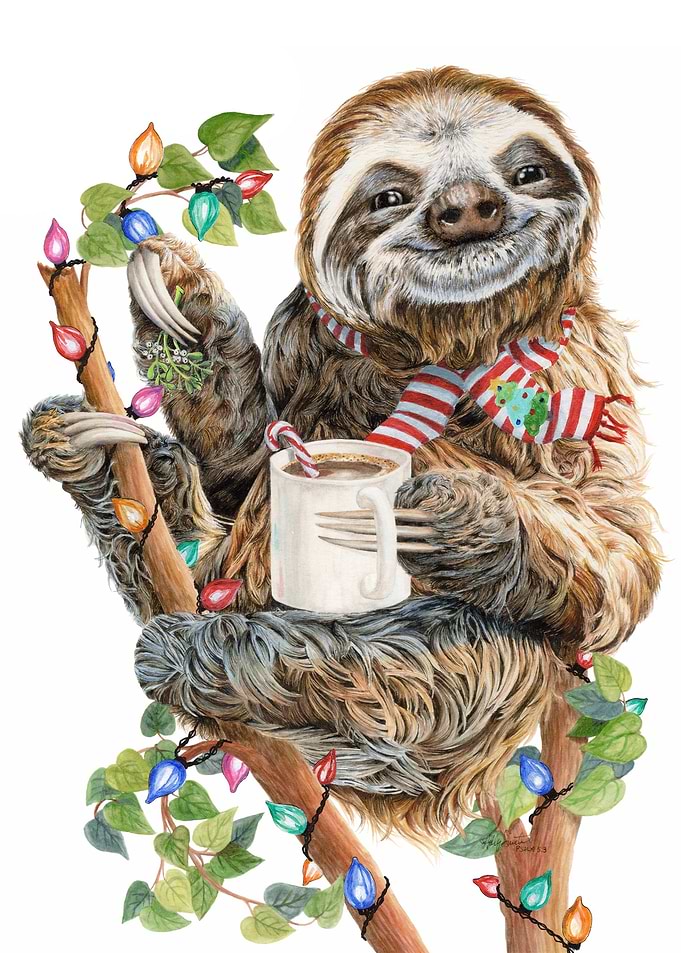 Top Of Christmas Morning