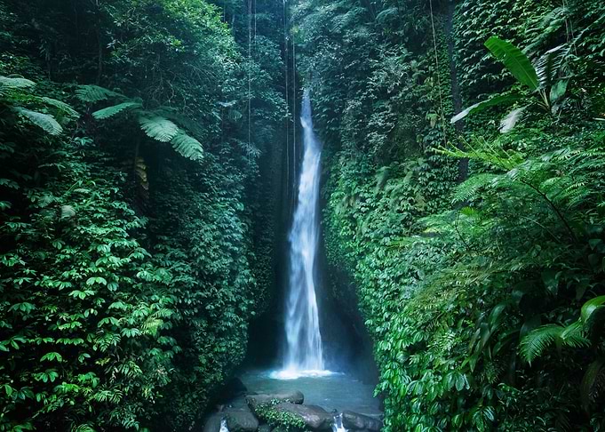Waterfall Nature
