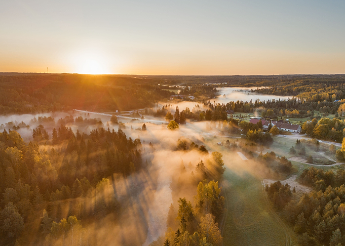 Bird view of nature