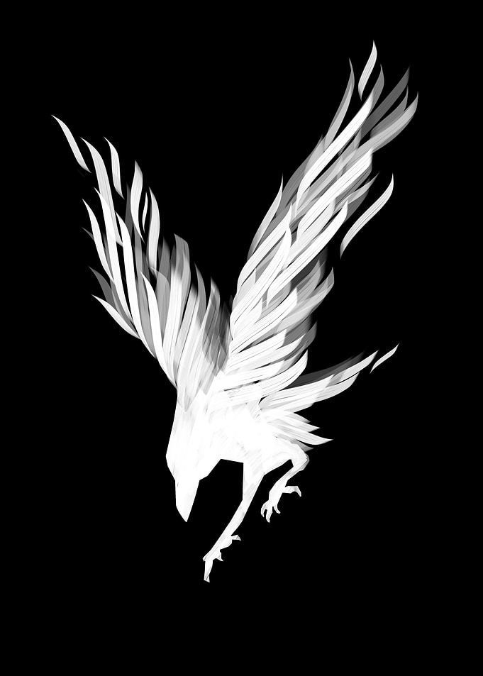 White burning Crow