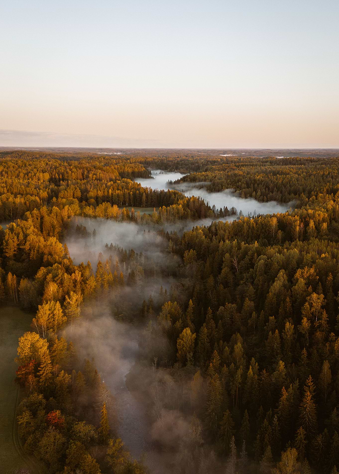 Morning nature
