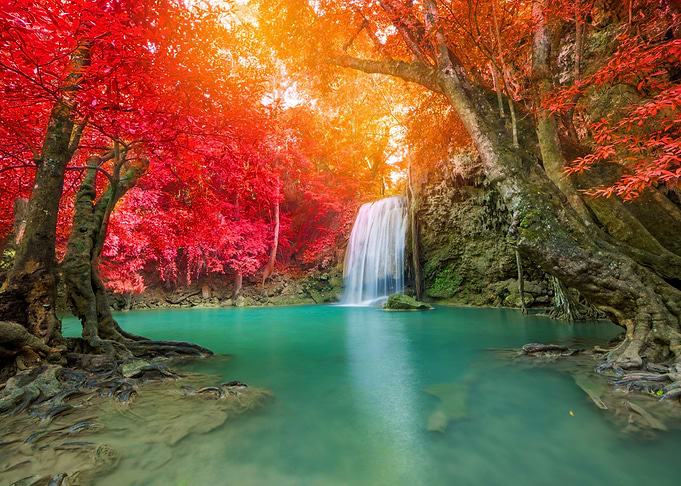 Waterfall Nature
