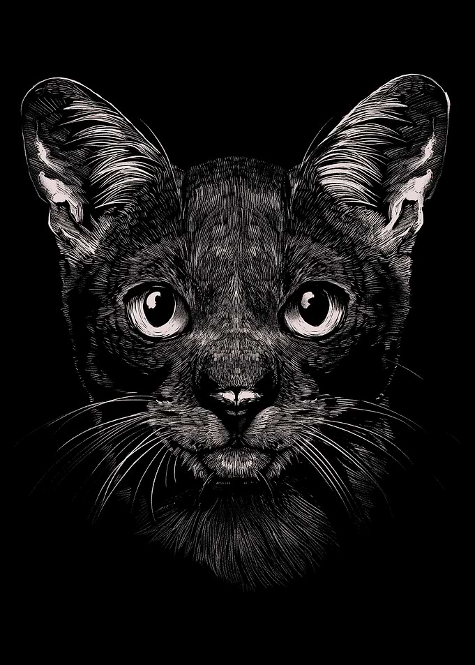 Cat Portrait