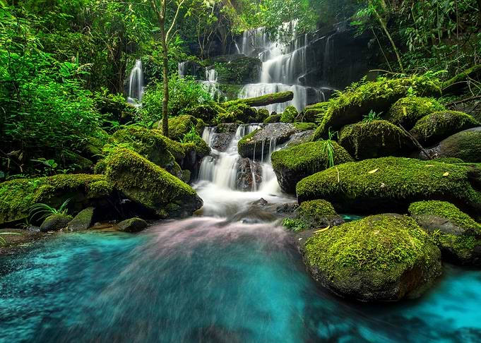 Waterfall Nature