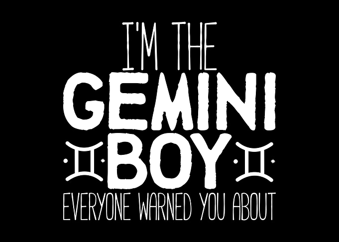 Gemini Boy Warning Zodiac