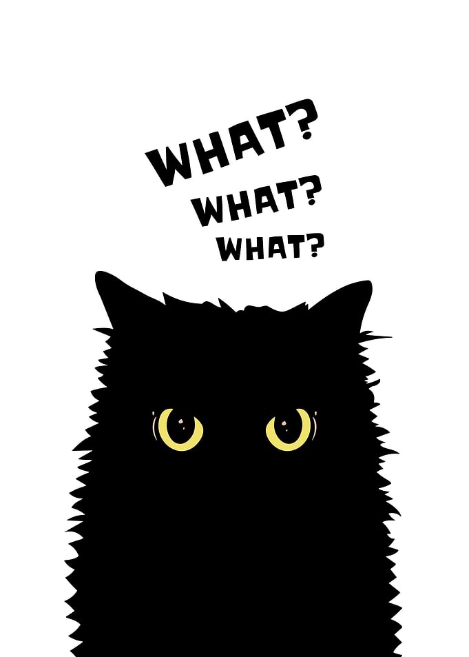 Cat What Murder