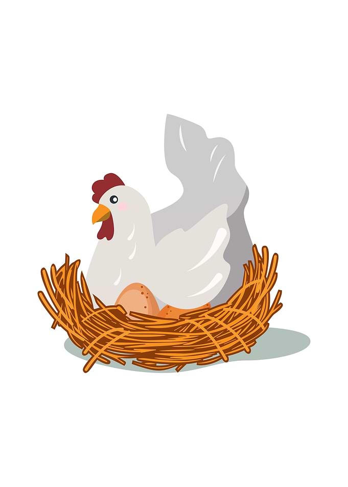 Rooster