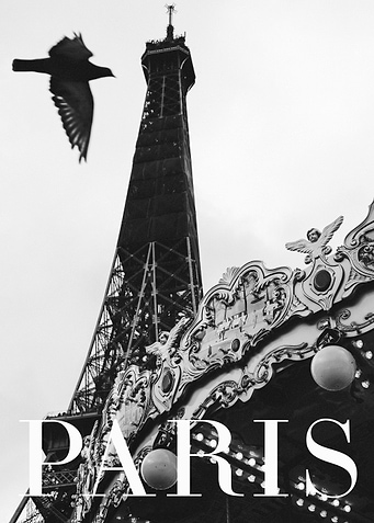 Paris Dove
