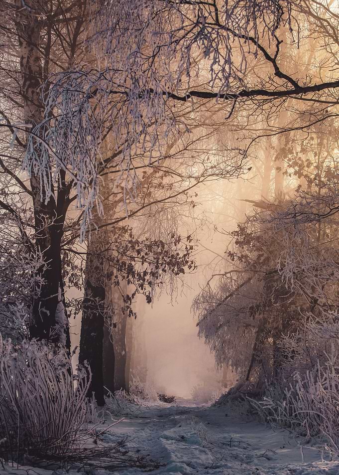 Winter morning