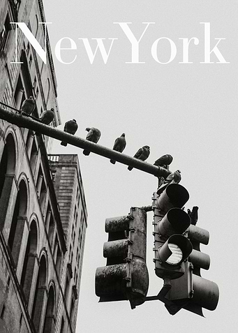 New York Pigeons