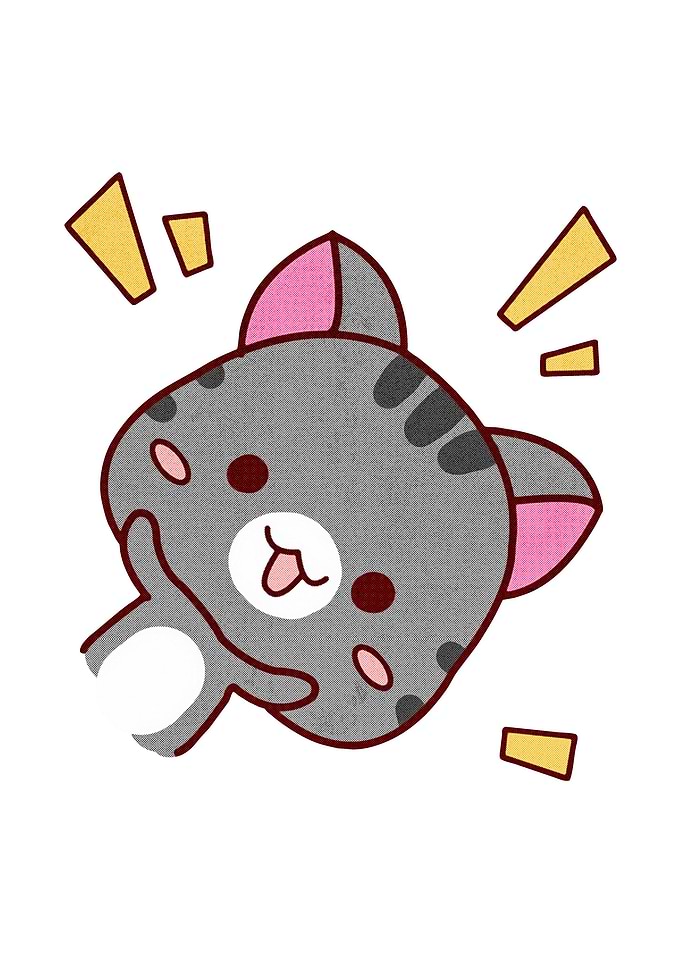 cute cat