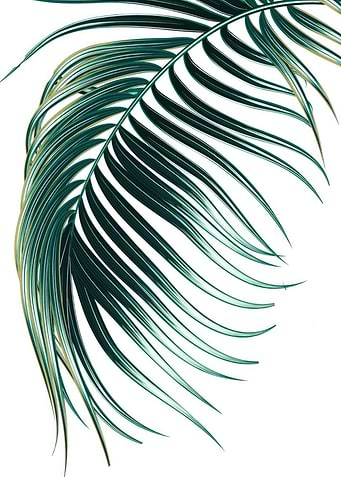 Botanic Leaf P2
