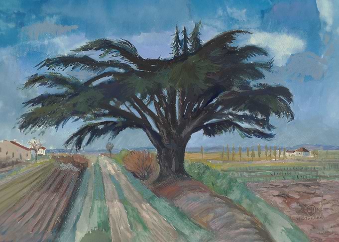 Large tree between fields