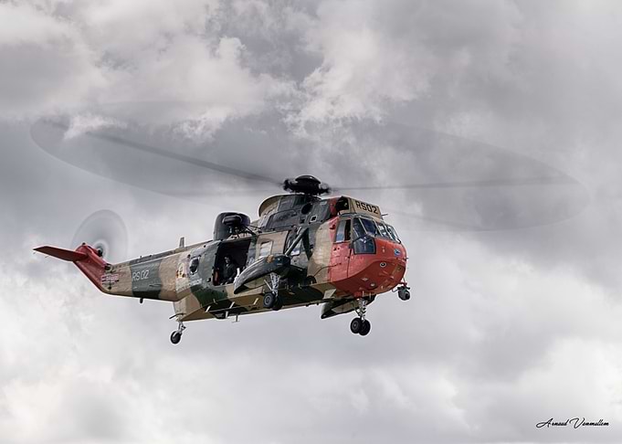 Sea King Belge