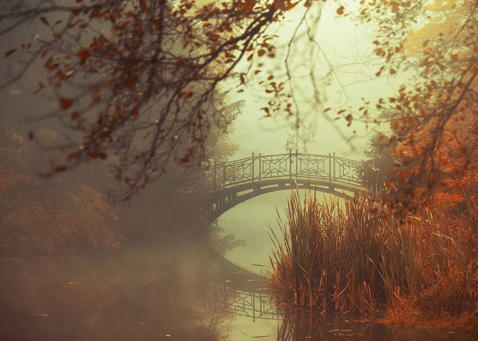 Autumn foggy lake in park