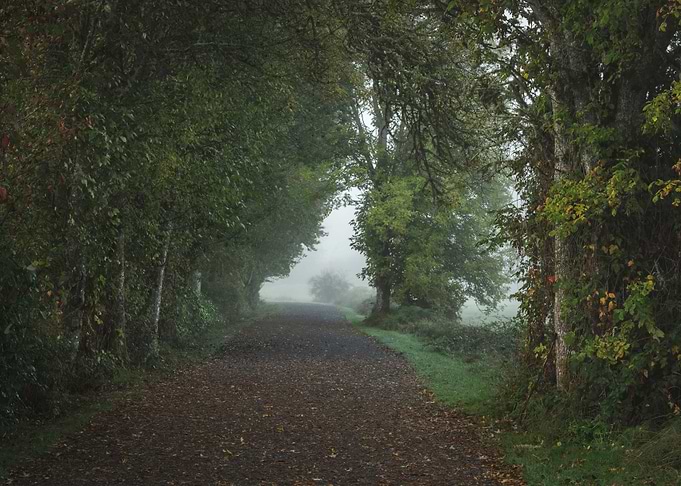 Whispers of Autumn