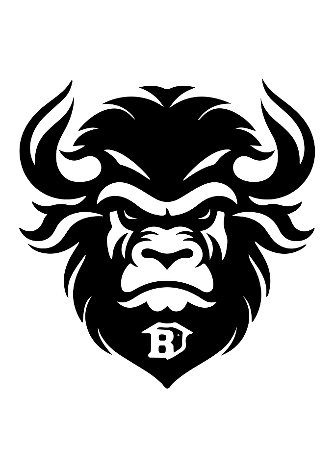 Buffalo Stencil Design