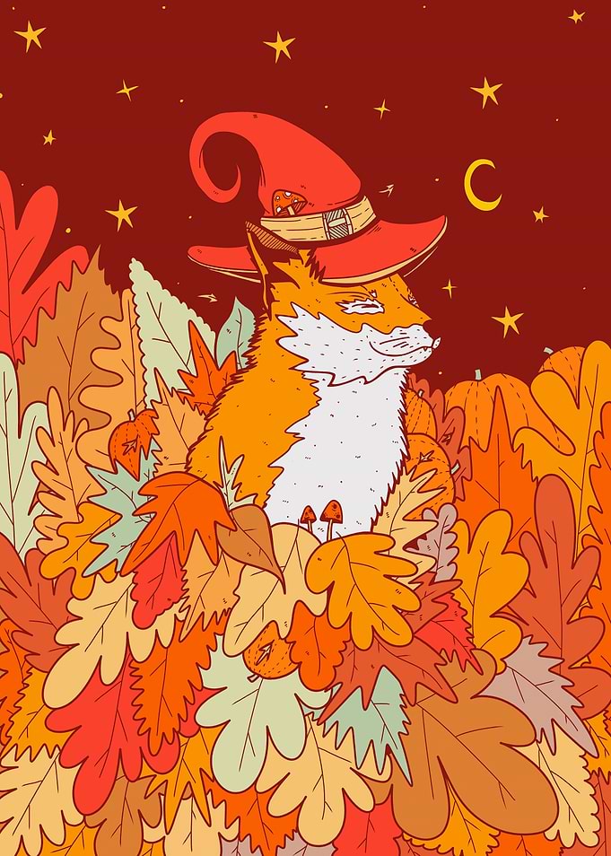 The wizard fox