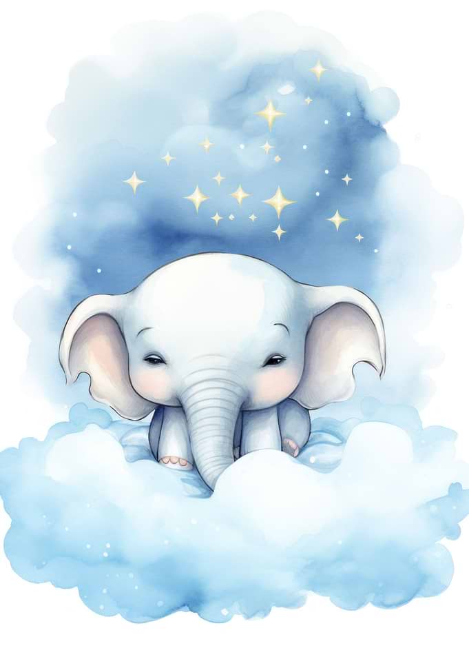 Baby elephant