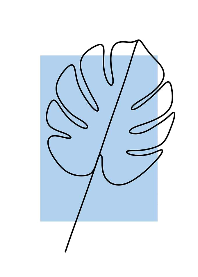 Monstera Leaf Minimalist 1