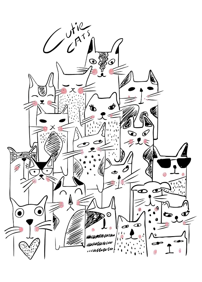 Cat Aesthetic