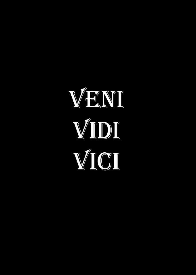 veni vidi vici